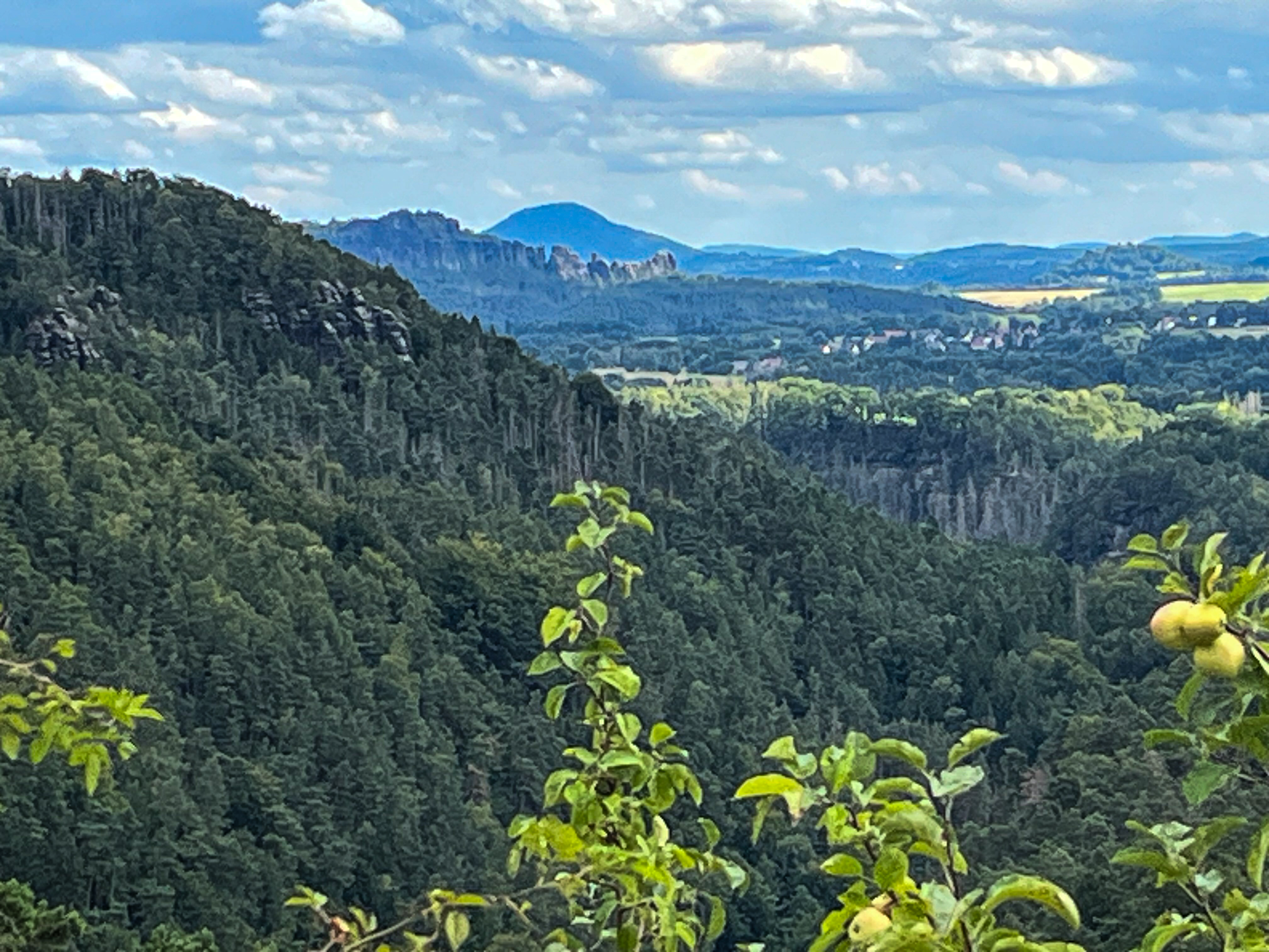 Blick zu den Schrammsteinen Blick zu den Schrammsteinen